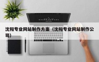 淇县沈阳专业网站制作方案（沈阳专业网站制作公司）